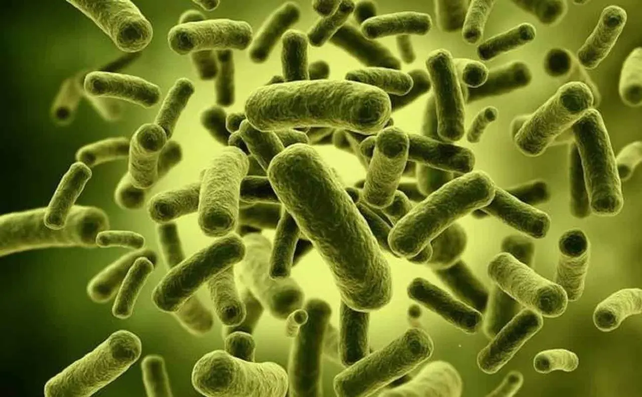 Mueren dos bebés por brote de bacteria Klebsiella en hospital de SLP