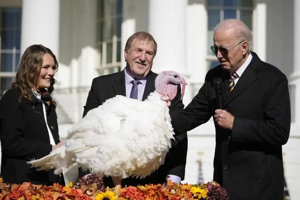 Joe Biden muestra los pavos nacionales de Acción de Gracias