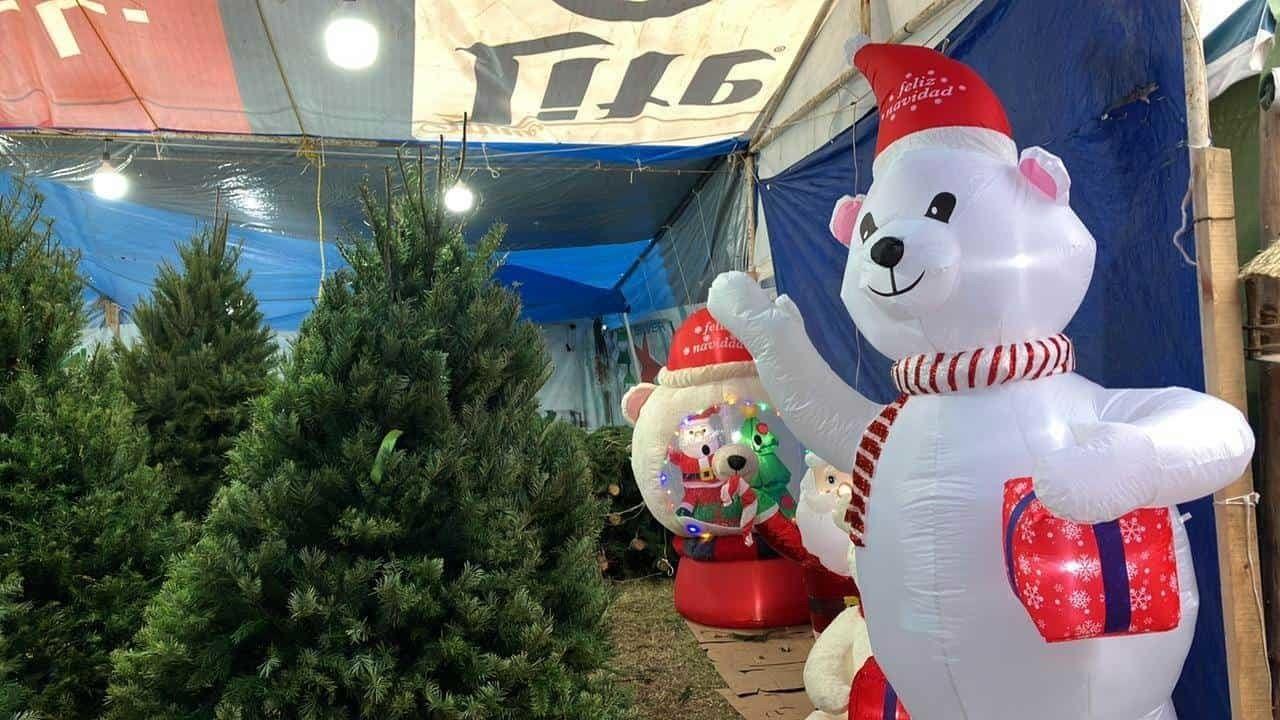 Acuden regios a la Feria del Pino en Monterrey