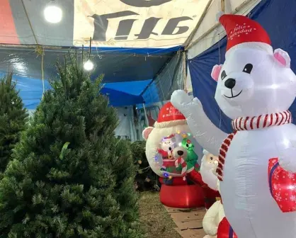Acuden regios a la Feria del Pino en Monterrey