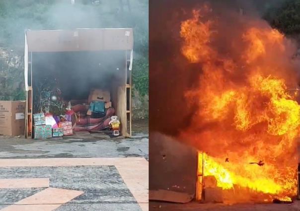 ¡Atención! En menos de un minuto se incendia un pino navideño