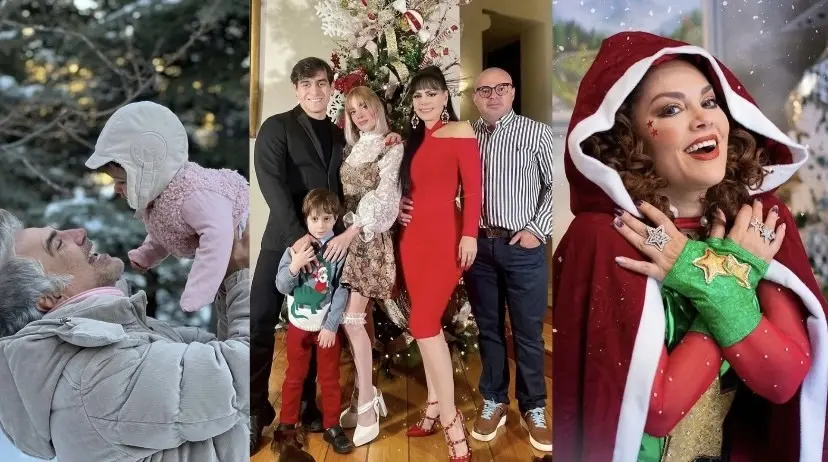 Estos artistas demostraron su gratitud a sus seguidores con mensajes llenos de emotividad en esta Nochebuena. Fotos Instagram