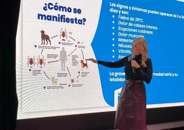 Confirma Salud 54 casos de rickettsia en Nuevo León
