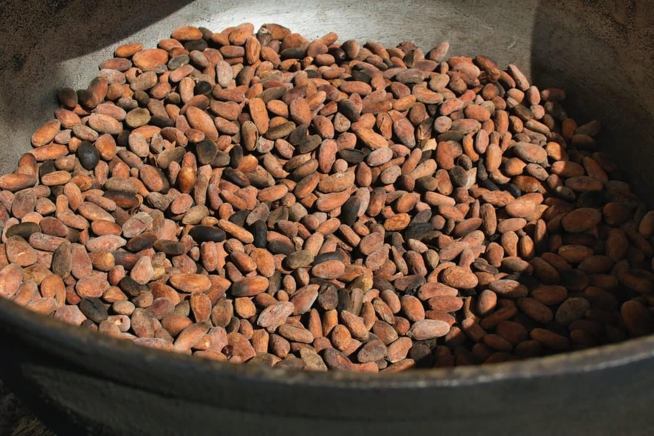 ¿Conoces las ceremonias de cacao?