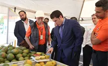 Se disparan exportaciones hasta un 30 por ciento en Nuevo León