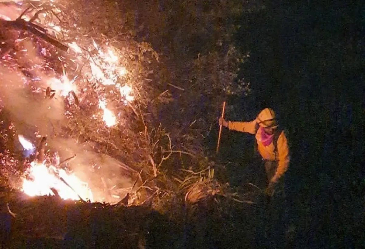 Protección Civil de Nuevo León detalló que el fuego arrasó con matorral bajo y lechuguilla, por lo que se tiene una afectación de 6 hectáreas. Foto: Facebook Protección Civil de Nuevo León