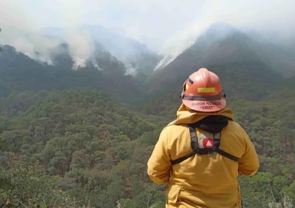 Pide Protección Civil no encender fogatas en áreas naturales