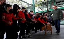 Arranca Escobedo el programa Protección Animal en tu Escuela