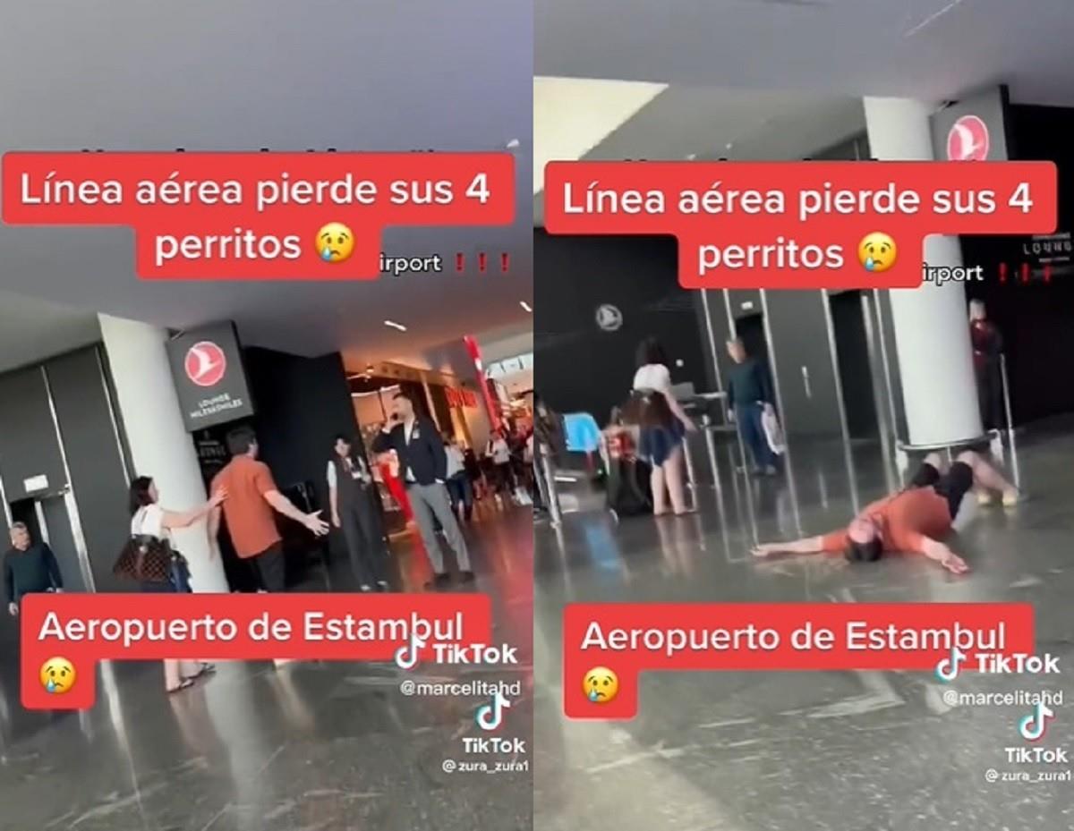 Un hombre llora desconsoladamente y colapsa al enterarse que una aerolínea extravió a sus 4 perritos.Foto: TikTok @zura_zura1