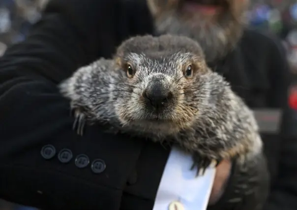 La marmota Phil pronostica más frío