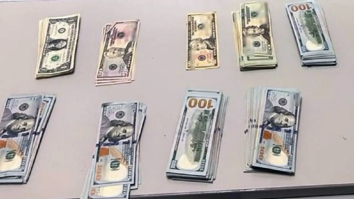 Las autoridades aseguraron 33 mil 900 dólares, equivalentes a más de medio millón de pesos.Foto: sspc.gob.mx