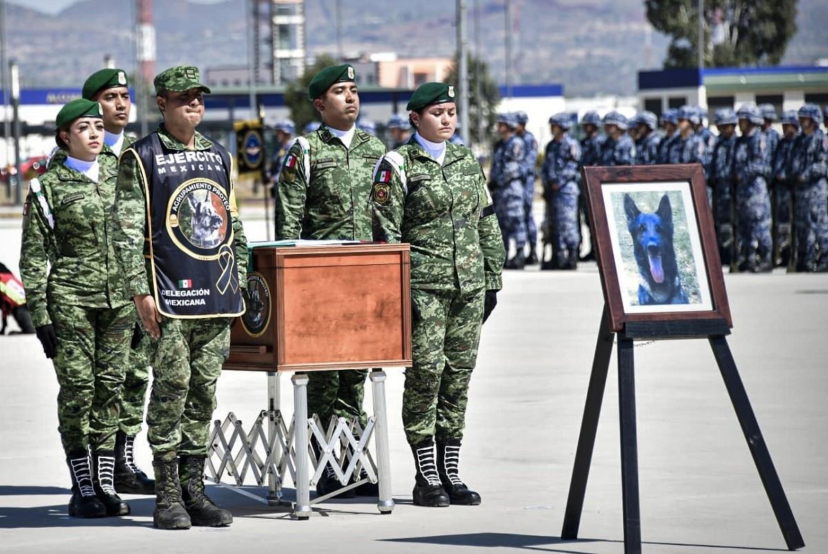 Proteo, quien tenía 9 años y 7 meses de edad, murió a consecuencia de las bajas temperaturas que se registran en Turquía. Foto: Twitter @SEDENAmx