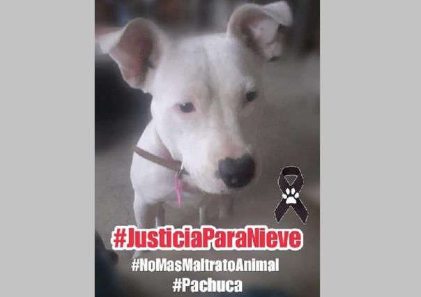 Piden justicia para Nieve; sujeto la degüella por venganza con exnovia