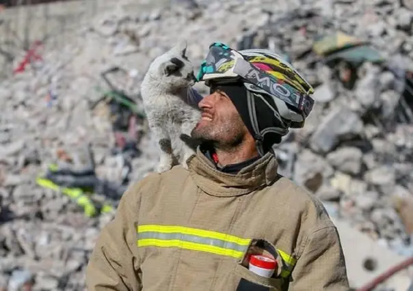 Rescata brigadista a gatito tras sismo en Turquía; minino decide quedarse con él