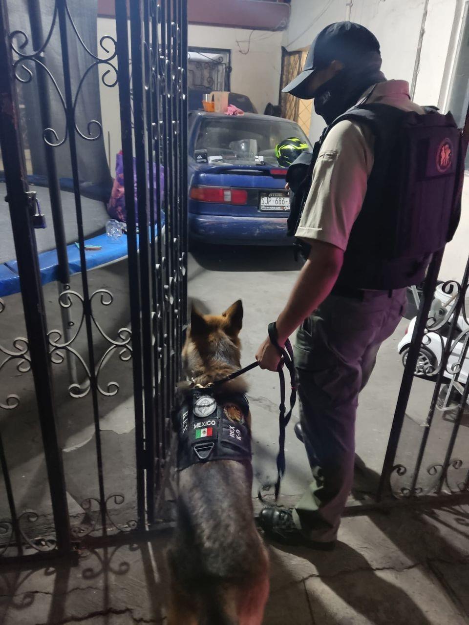 Catean vivienda en la colonia Burócratas Federales; hay un detenido