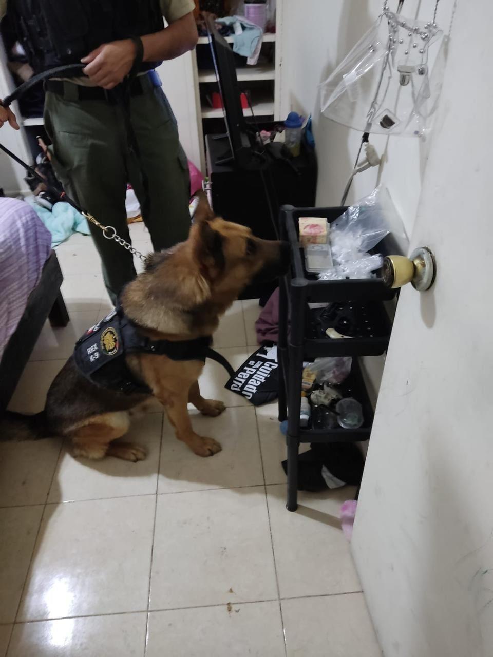 Catean vivienda en la colonia Burócratas Federales; hay un detenido