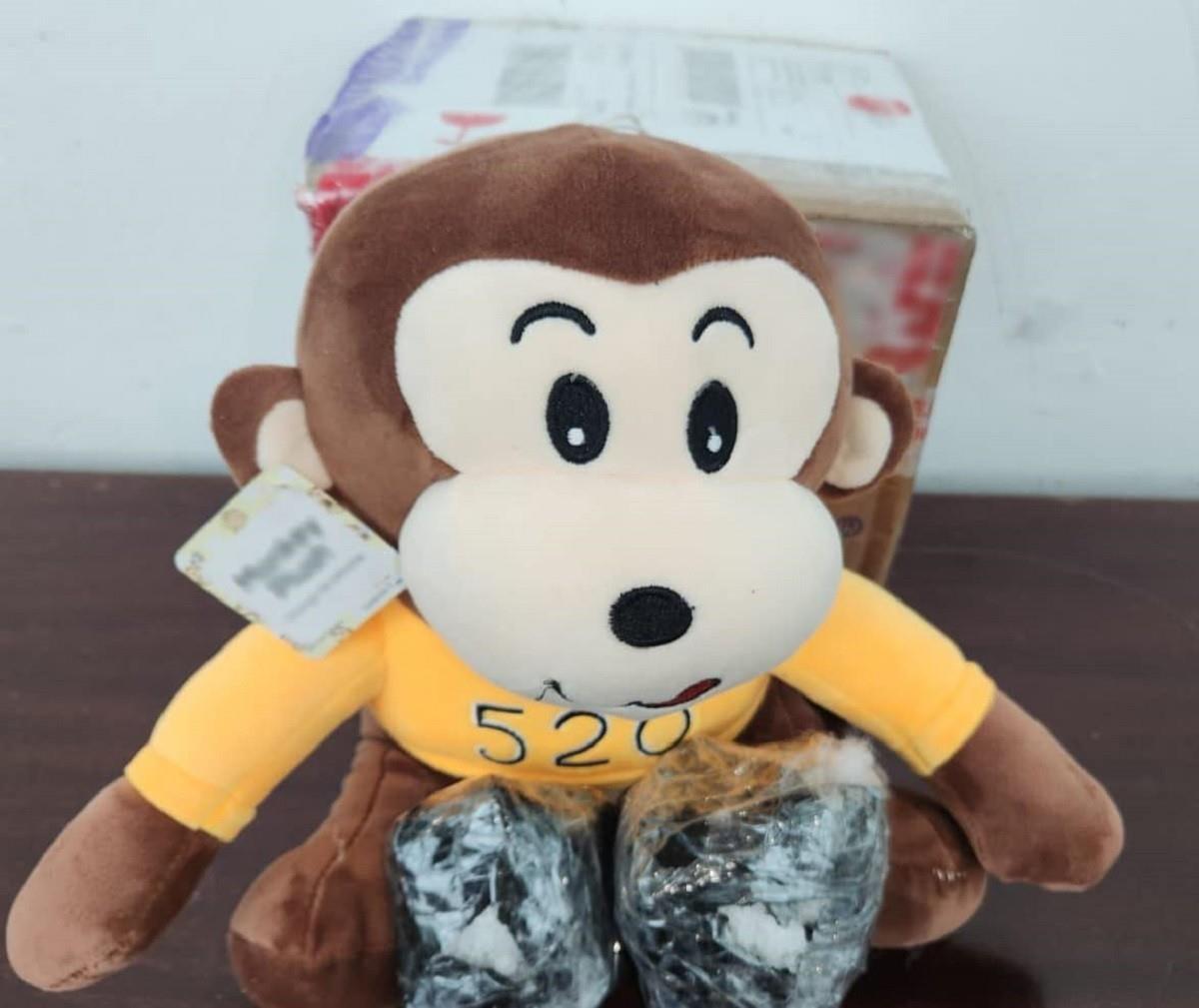 Asegura Guardia Nacional simio de peluche relleno con cristal