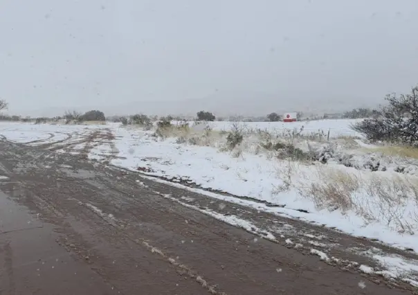 Nevada pinta de blanco a Nogales, Sonora; hay cierre de carreteras