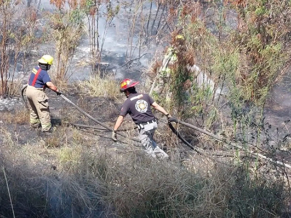 Combaten incendio en lecho del río Santa Catarina en Monterrey