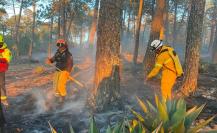 Castigarán hasta con 13 años de prisión a quien cause un incendio forestal