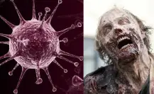 ¡Reviven 13 virus zombies! Uno es muy letal y tiene 48 mil 500 años