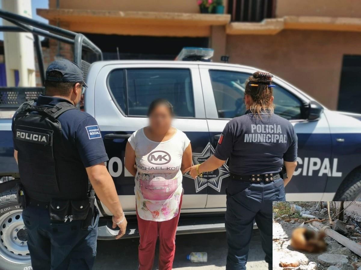 Detienen a mujer tras dejar morir a su perro amarrado en Querétaro