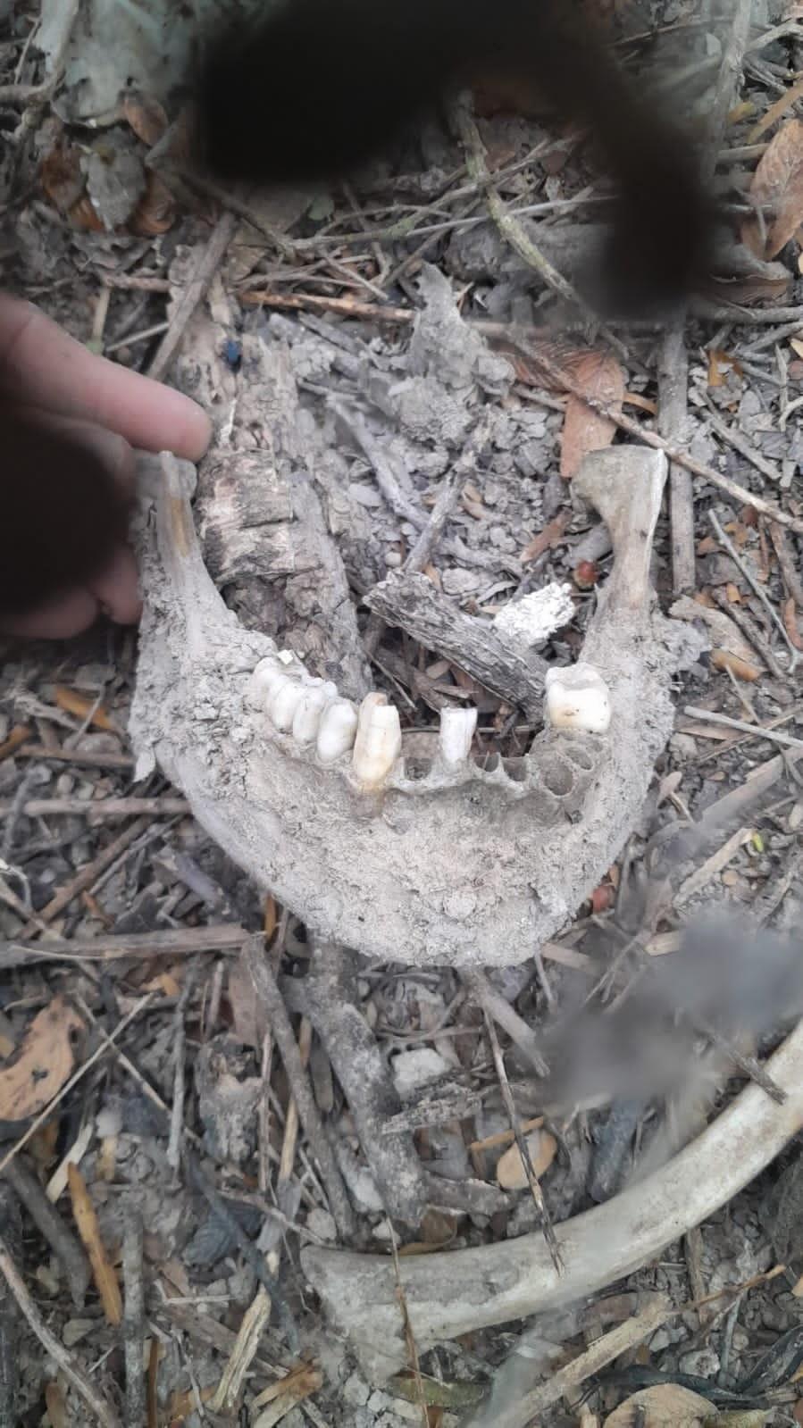 Encuentran restos humanos en predio de Reynosa