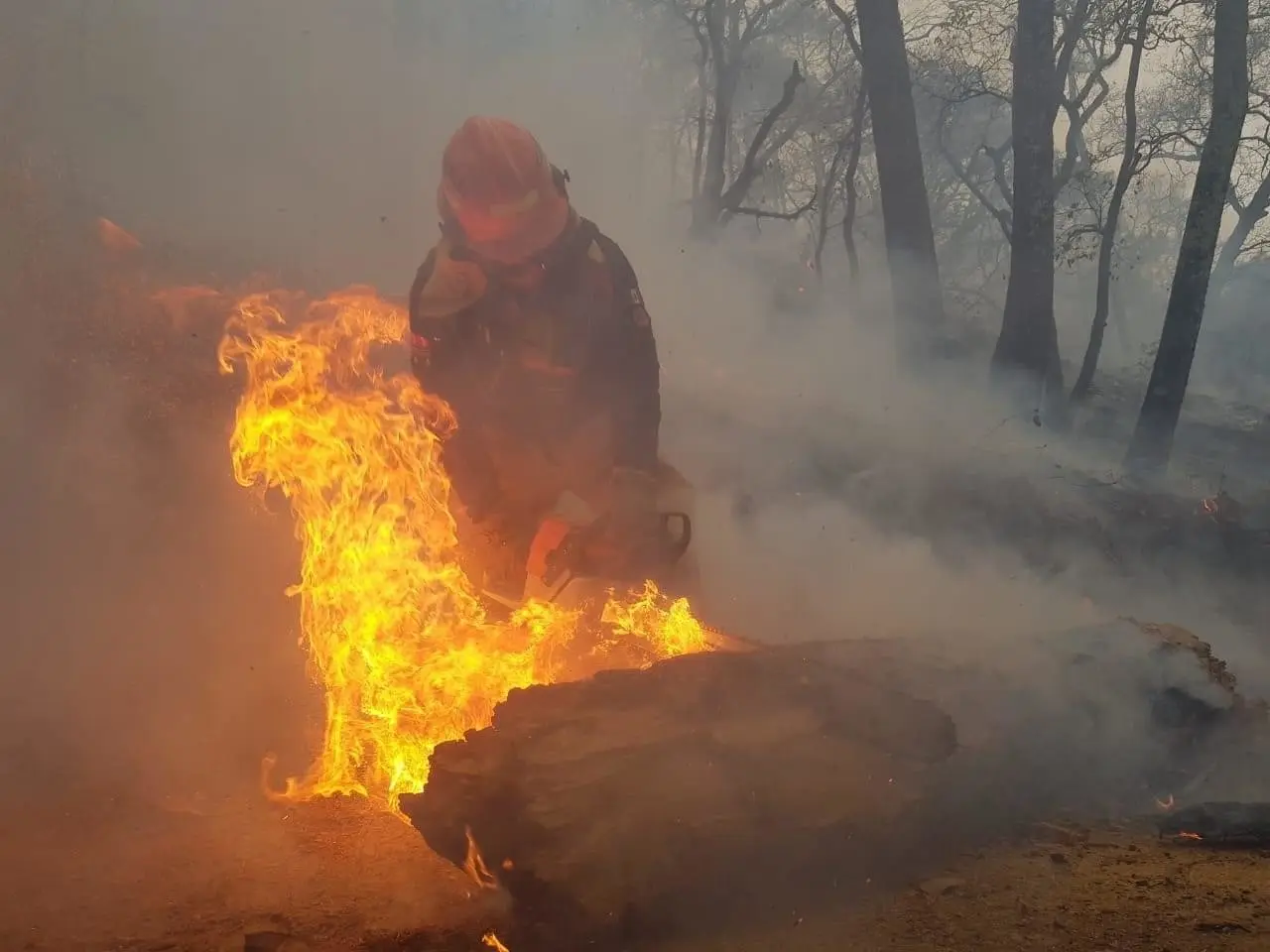 Se podrá sentenciar con uno a nueve años de cárcel a quien sea iniciador de incendios principalmente en zonas forestales. Foto: Carolina León