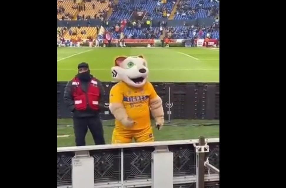 La mascota del Club Tigres UANL fue captada en video haciendo una seña obscena contra aficionados de Rayados. Foto: Twitter @HctorCoronadoM1