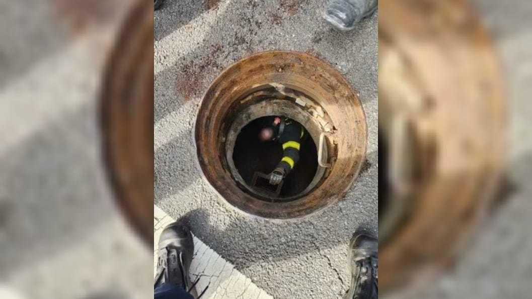Los niños caminaron casi medio kilómetro y luego llamaron al 911 cuando no pudieron encontrar el camino de regreso. Foto: Especial.