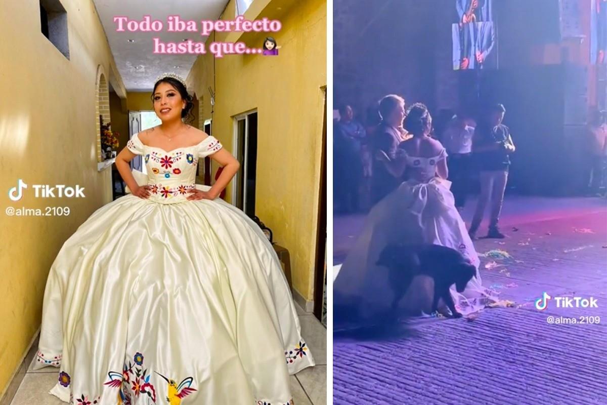 Fue a través de la cuenta de TikTok de @alma.2109 donde se muestran las imágenes del inesperado suceso. Foto: Especial/ PostaMX