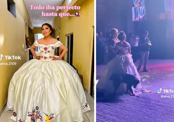 Cosas que la mantienen humilde... perrito orina vestido de quinceañera