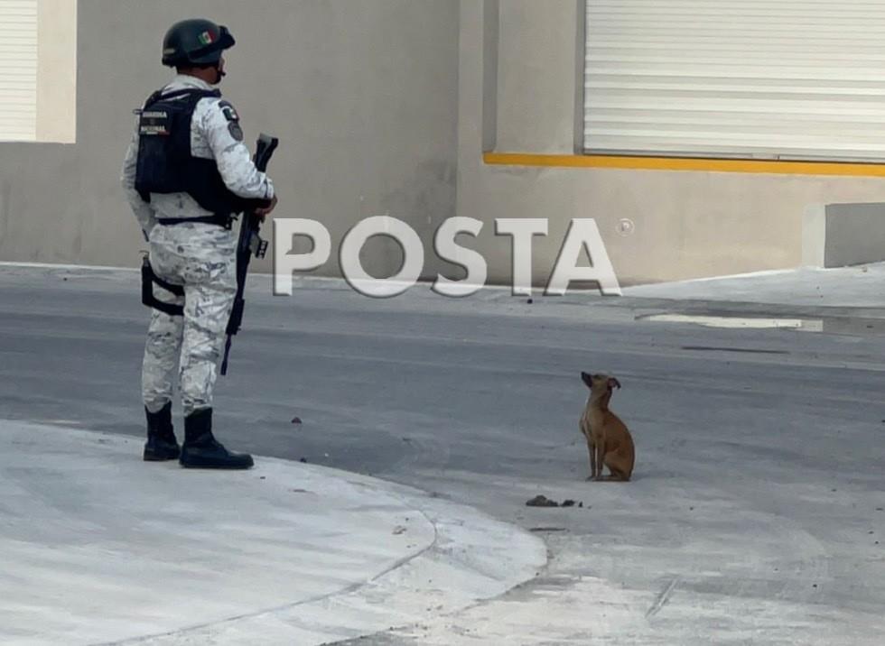 Elementos de la Guardia Nacional resguardaron la zona. Foto: Raymundo Elizalde.
