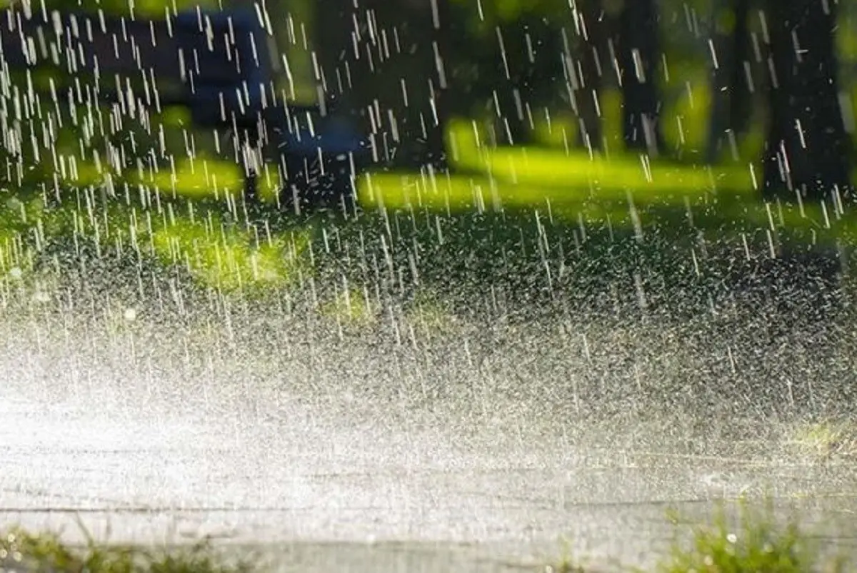 Se esperan lluvias en Monterrey y su área metropolitana este sábado 1 de abril de 2023. Foto: Red Agrícola