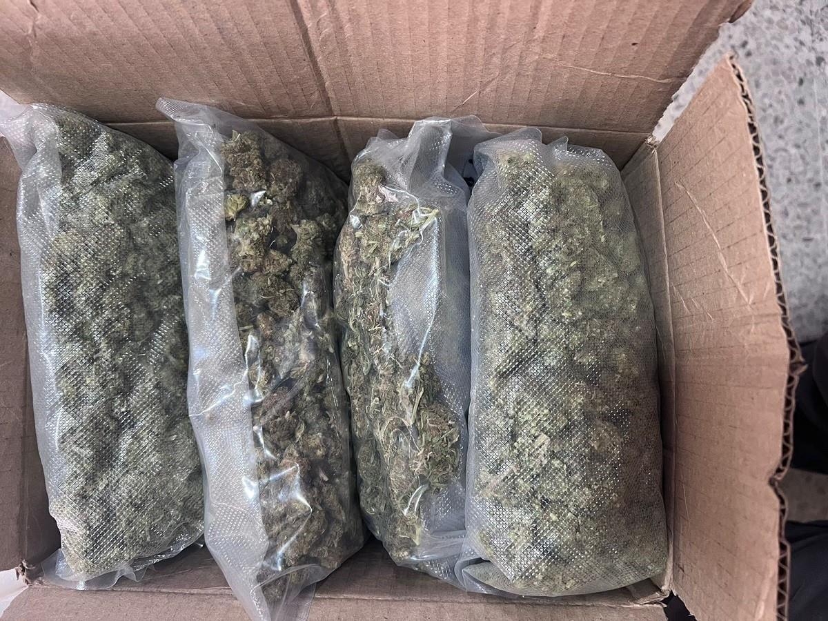 Asegura Guardia Nacional 180 paquetes de marihuana en 10 estados del país