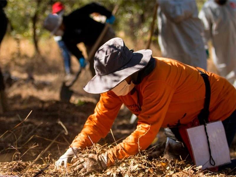 El colectivo de buscadoras independientes Hasta Encontrarte localizó los restos humanos. Foto: Cuartoscuro