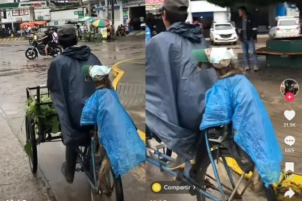 Vendedor de plantas ayuda a su perrito con un impermeable. Foto. Captura de Imagen