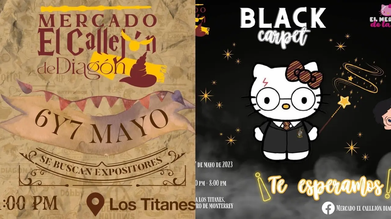 Se unirá multiverso de Harry Potter con Hello Kitty en mercadito en Monterrey