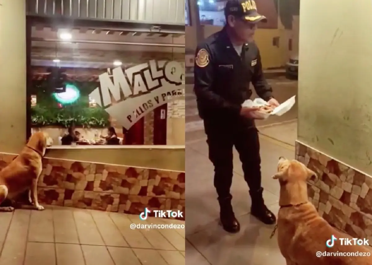 Un policía compró un cuarto de pollo en un restaurante para darle de comer a un lomito en una calle de Lima, Perú.Foto: TikTok darvincondezo