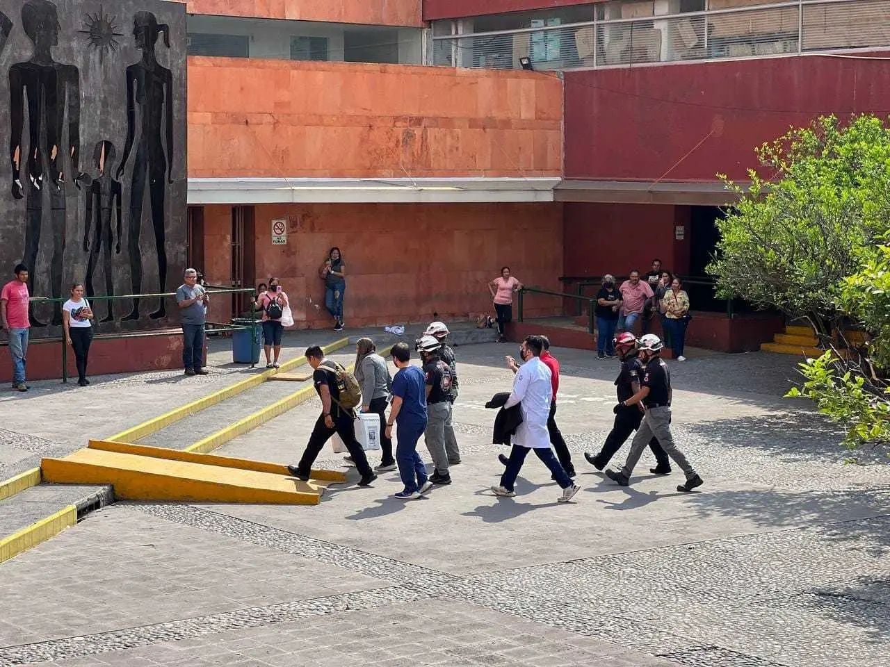 ¡Nueva esperanza de vida! Llegan 2 pulmones para trasplante en Monterrey