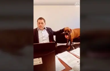 VIDEO: Participa perrito víctima de maltrato en audiencia contra su exdueña