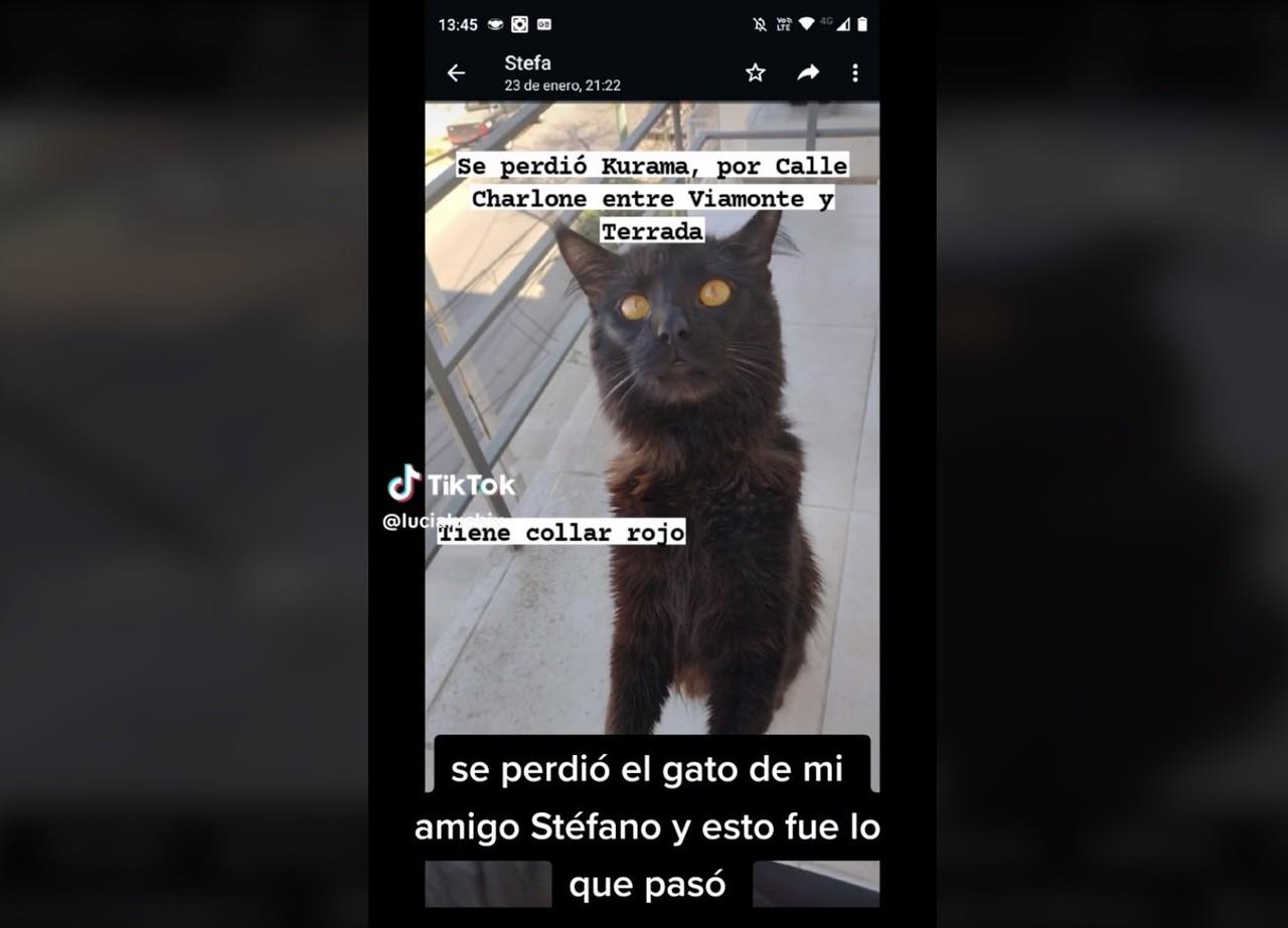 Un hecho muy curioso le sucedió a Stefano, un hombre que se volvió viral en TikTok después de que su amiga Lucía compartiera lo que le sucedió con su gato Kurama. Foto: TikTok Lucía Montarcé