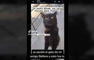 Relata hombre resurrección´ de su gato y causa furor en redes