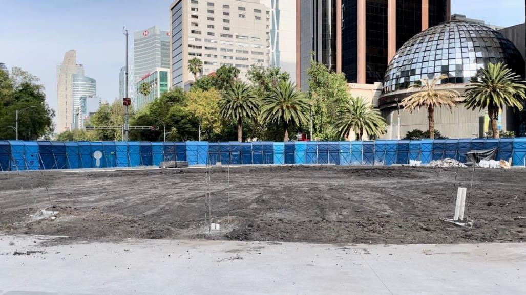 Un año sin la palma de Paseo de la Reforma: pronto llegará nuevo ahuehuete