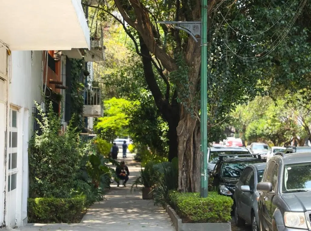 Piden retirar bicicleta de jardinera por mal aspecto. Foto: Captura de pantalla