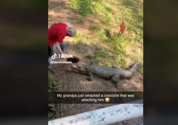 ¡De película! Abuelo pelea con cocodrilo y lo vence a sartenazos