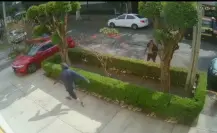 Detienen a ladrones de autopartes en la colonia Roma de la CDMX