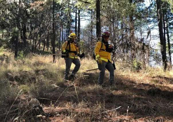 Reducen 99% incendios forestales en Nuevo León