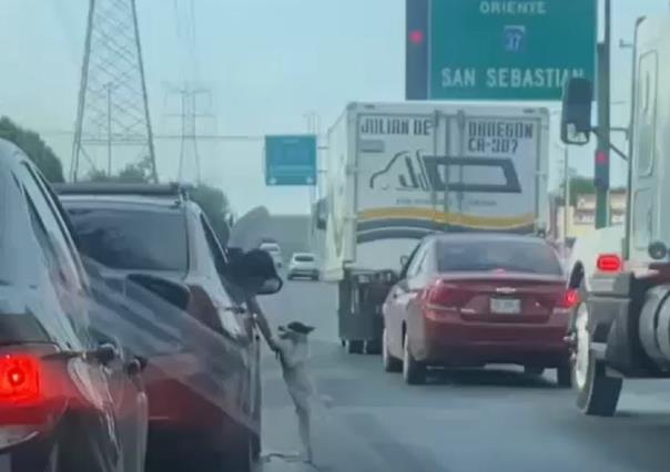 Investiga Medio Ambiente caso de perrito a abandonado en avenida de Guadalupe