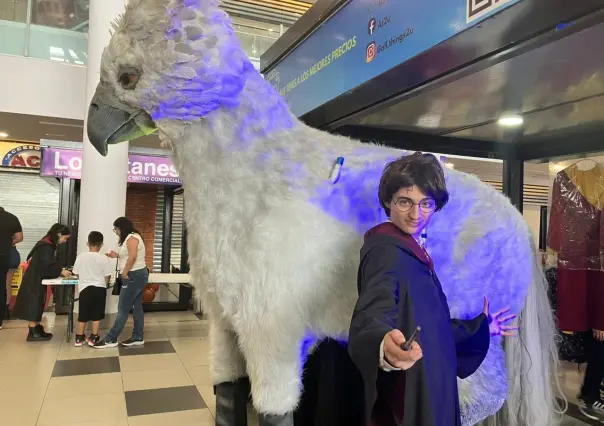 Llega el mágico mercado de Harry Potter a Monterrey